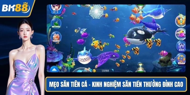 meo san tien ca anh dai dien