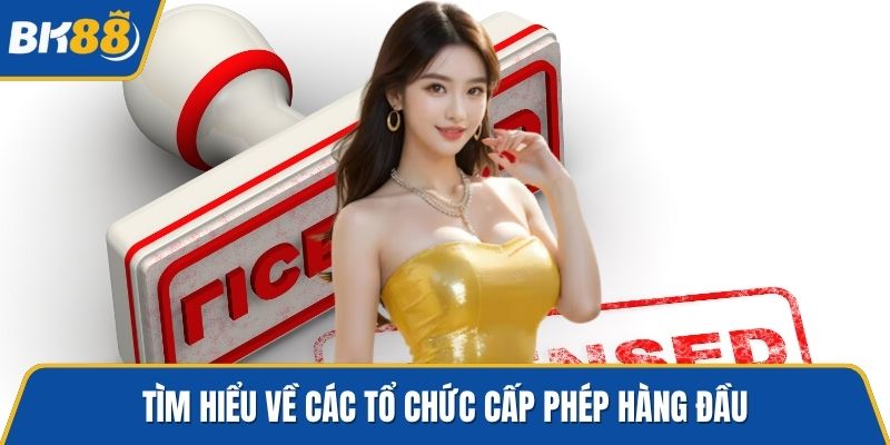 Tìm hiểu về các tổ chức cấp phép hàng đầu
