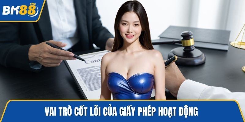 Vai trò cốt lõi của giấy phép hoạt động