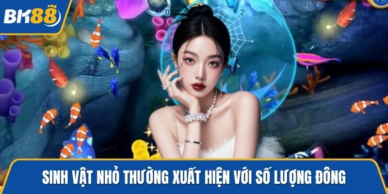 Sinh vật nhỏ thường xuất hiện với số lượng đông